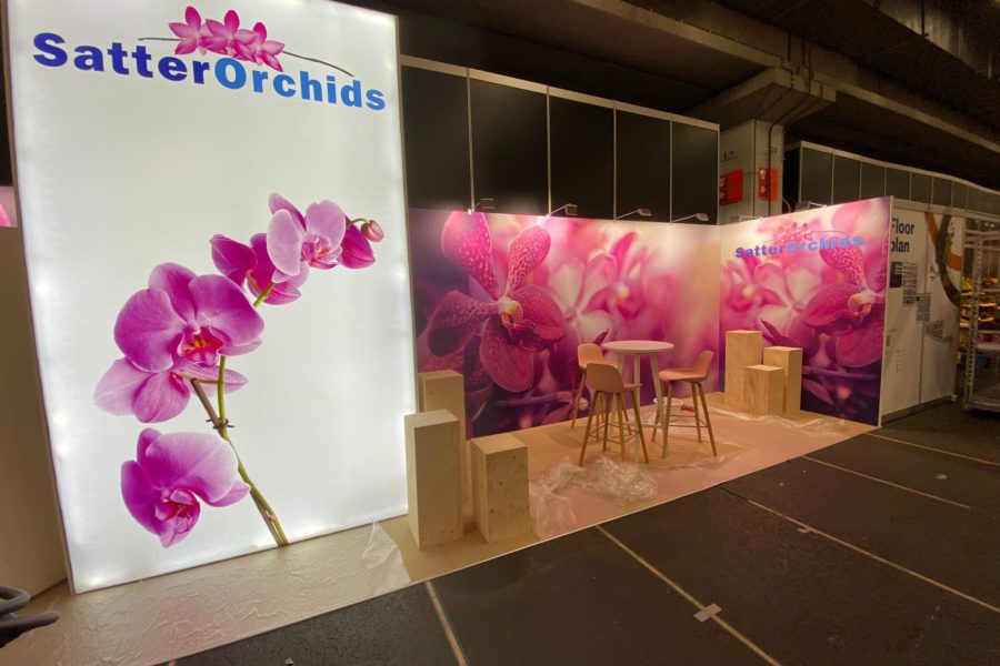 Satter Orchids - Royal Flora Holland Trade Fair 2022(2)