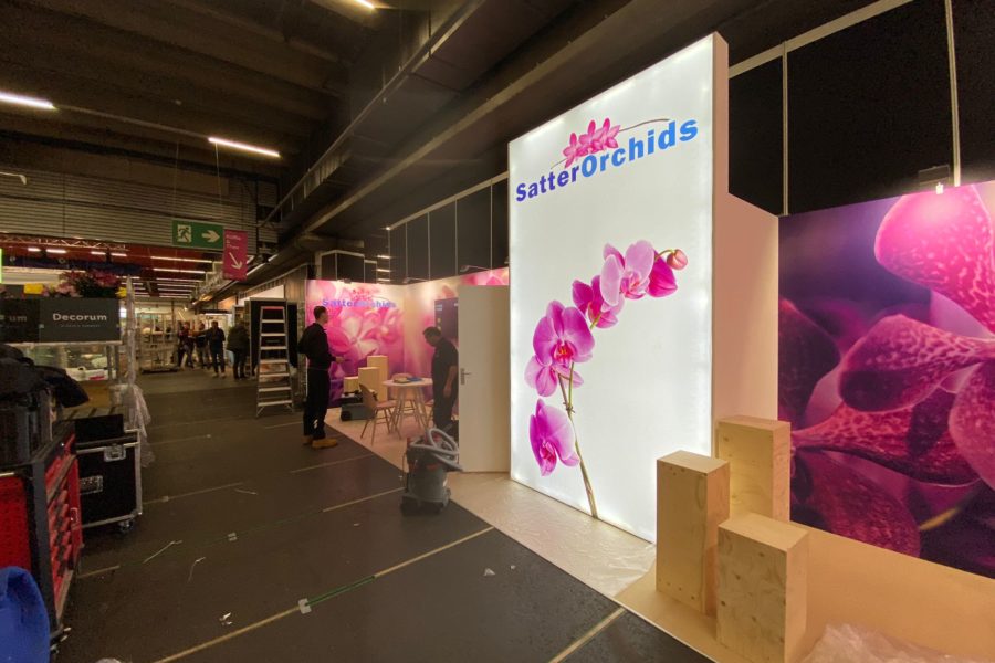 Satter Orchids - Royal Flora Holland Trade Fair 2022(4)