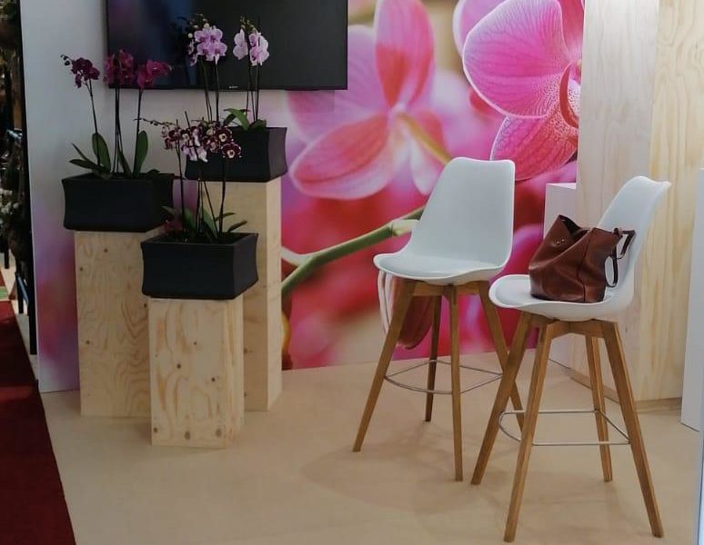 Satter Orchids - Royal Flora Holland Trade Fair Aalsmeer 2019 (4)