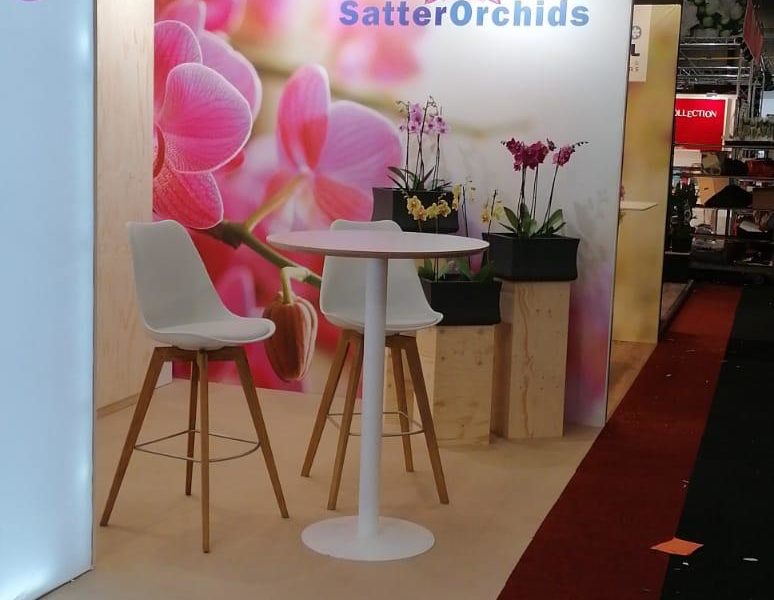 Satter Orchids - Royal Flora Holland Trade Fair Aalsmeer 2019 (5)
